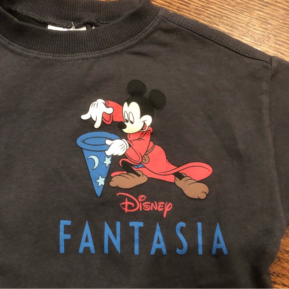 NWT | Zara | Fantasia Tee Shirt - Picture 3 of 6